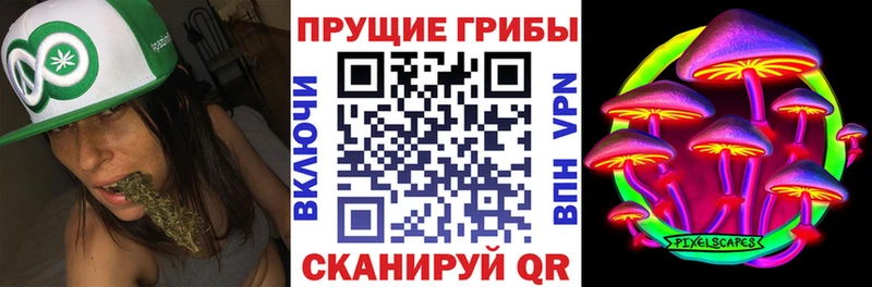 дарк нет Telegram  Пугачёв  Галлюциногенные грибы мухоморы  магазин  наркотиков 